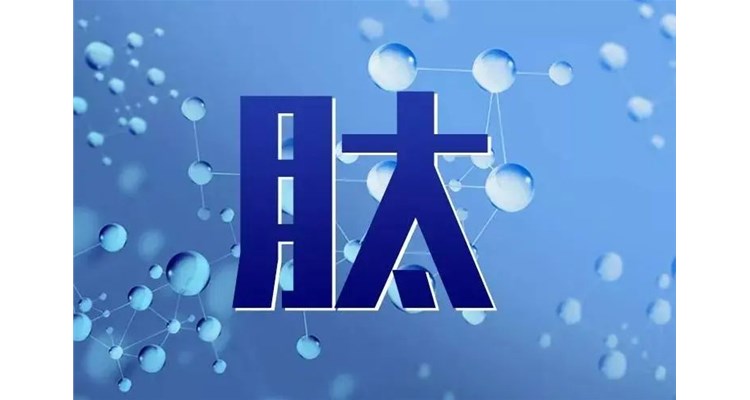 小分子肽：从教材到央视，见证科学的辉煌篇章