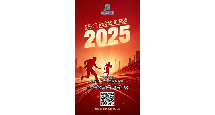元旦新年：启航新岁，共绘璀璨篇章